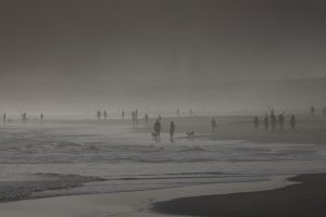 Landscape - Beach Fog