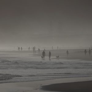 Landscape - Beach Fog
