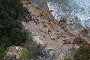 Landscape - Hikers from above