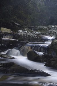 Landscape - Kleinbos river