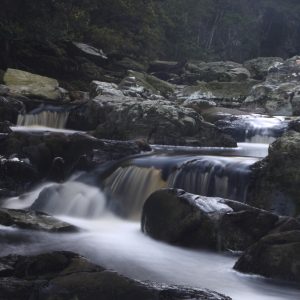 Landscape - Kleinbos river