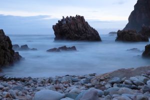 Landscape - Moody Otter Trail