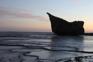 Landscape - Mossel banke